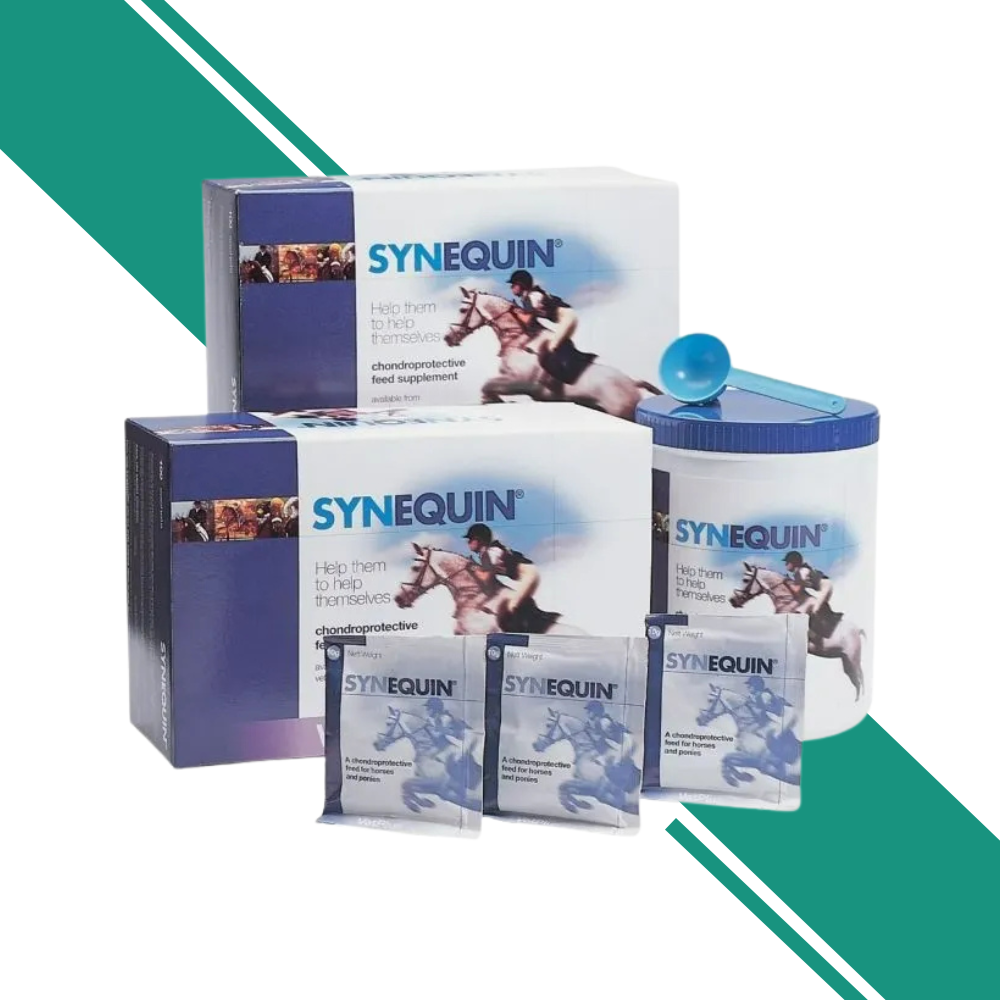 Synequin Equine Powder 1kg